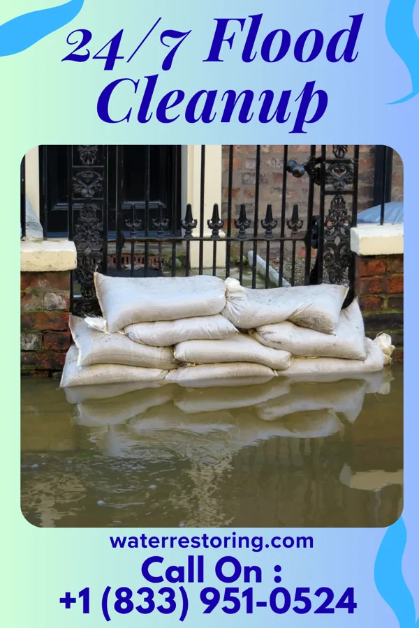 24/7 Flood Cleanup in Forest Heights, TX